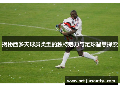 揭秘西多夫球员类型的独特魅力与足球智慧探索