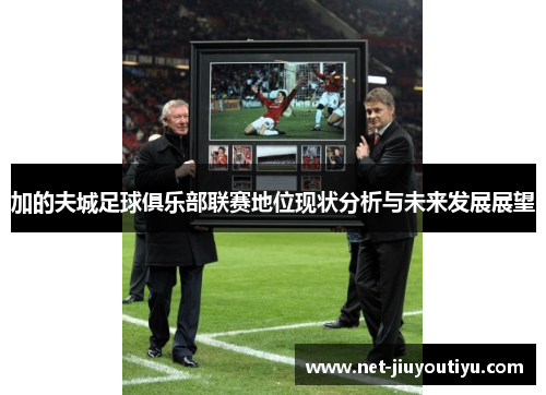 加的夫城足球俱乐部联赛地位现状分析与未来发展展望 加的夫城足球俱乐部联赛地位现状分析与未来发展展望